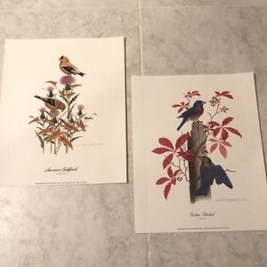 North American Bird Prints